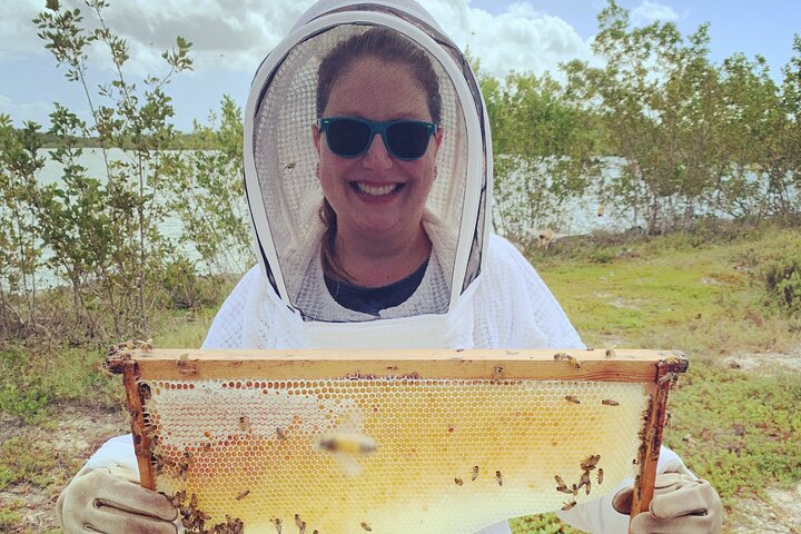 Grand Cayman Beekeeping Experience – Hands-On Hive Tour - Photo 1 of 12